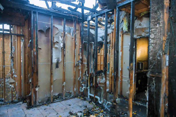 Professional Fire Damage Repair technician working in Lovettsville, VA