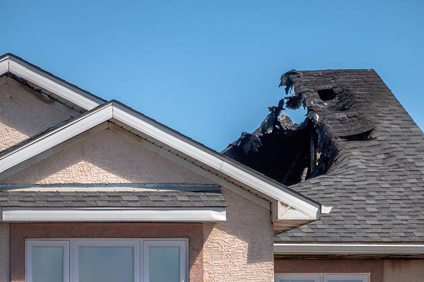 Top rated local Fire Damage Repair specialists in Lovettsville, VA
